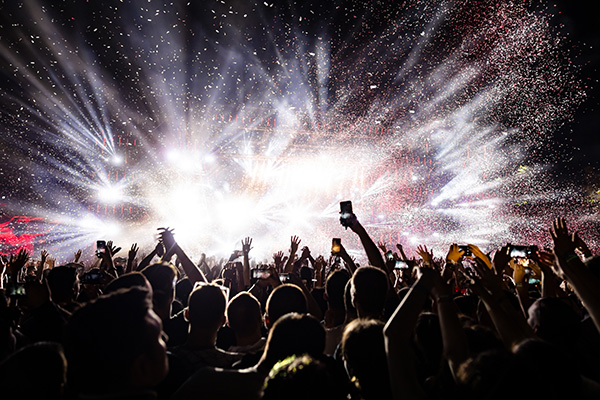DLAN Emergency Management for sporting events and mass gatherings